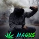 Haqus12212