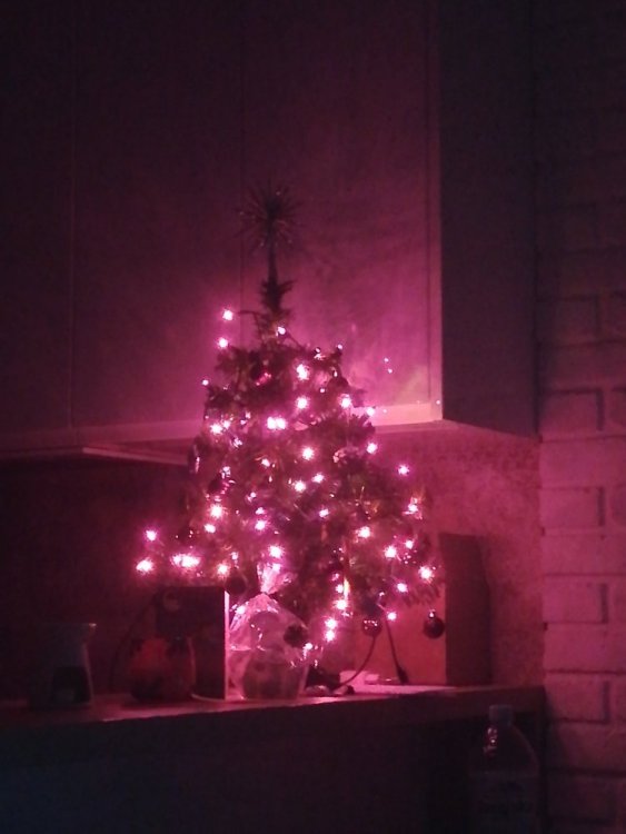 IMG_20201227_211616.jpg