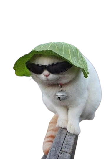 fasfasdfsag.png.88aefd3e2d116d8e25ba6eccea345b82.png