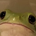 01010101010101