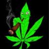 cannabis ` eCo